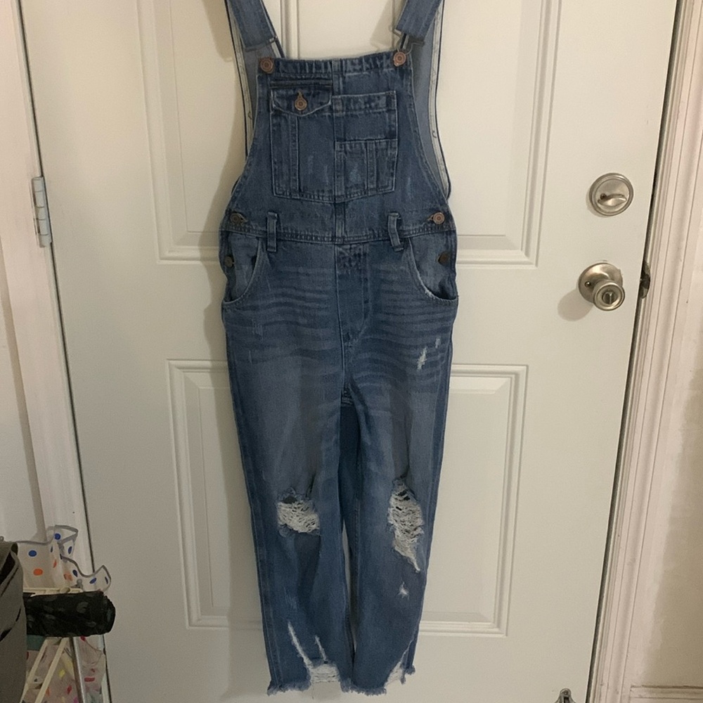 Sincerely Jules straight crop overalls